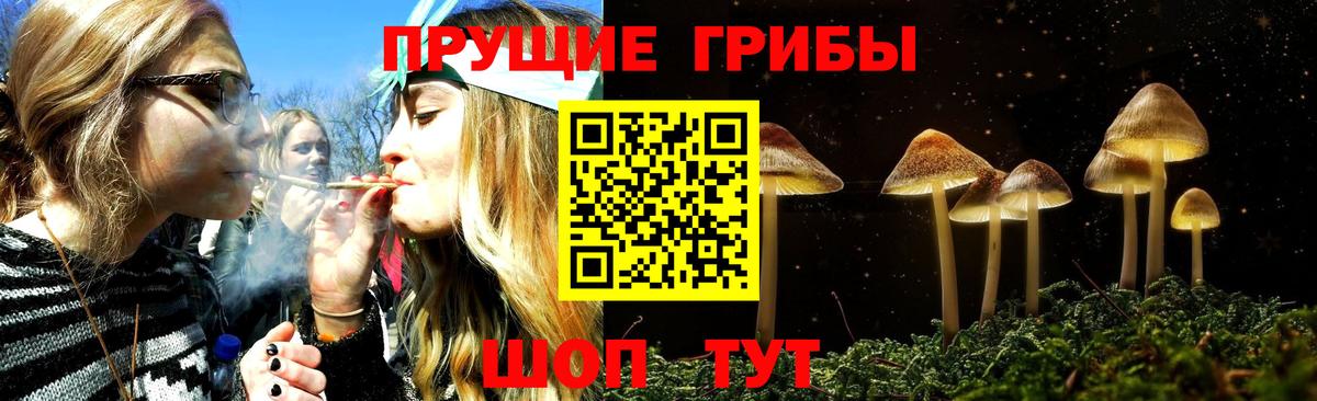 Псилоцибиновые грибы Cubensis Сызрань